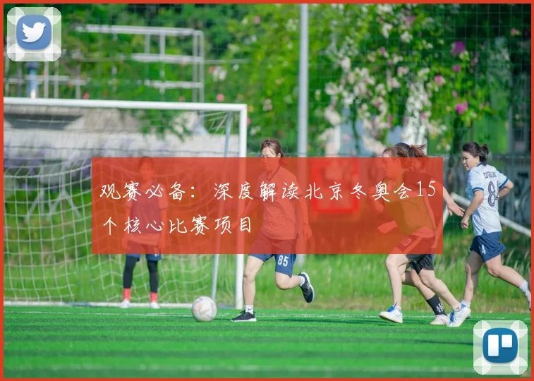 观赛必备：深度解读北京冬奥会15个核心比赛项目